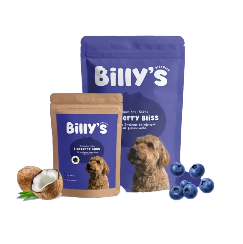 Billy's Biscuits Blueberry Bliss | Vegan Dog Snacks